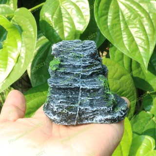 Cầu thang cho rùa, bò sát phơi nắng