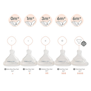 Hộp 2 núm ti thay thế Hegen size Extra Slow, S, M, L, Y-cut chính hãng
