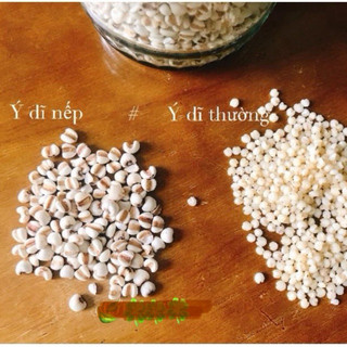 [ Shop Mới ] Y Dĩ Nếp Hạt To (Ý Dĩ Nhân, Hạt Bo Bo) - Bột Ý Dĩ