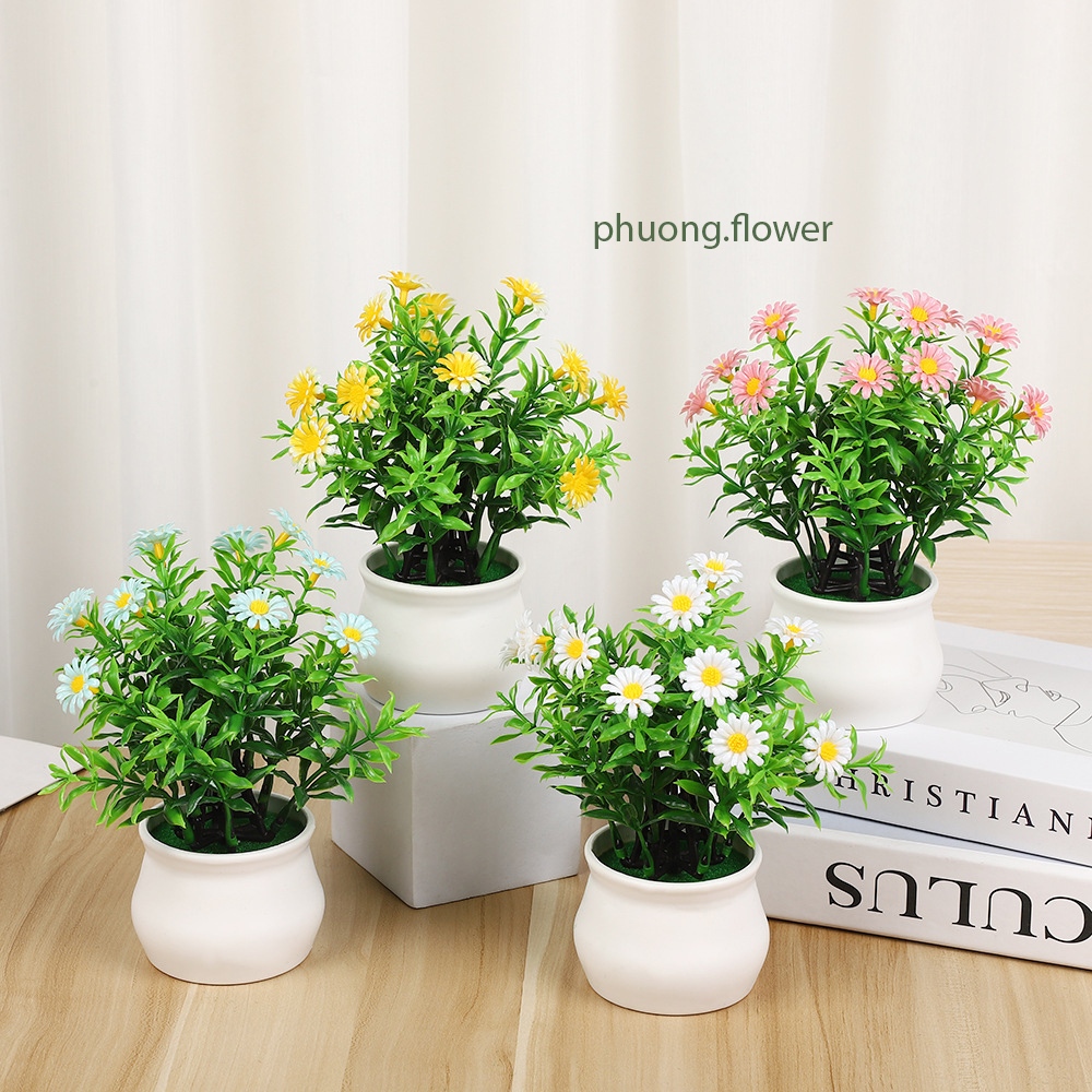 Chậu cây hoa cỏ giả kèm chậu nhựa 20cm mô phỏng hoa cúc họa mi để bàn trang trí nhà ở decor văn phòng nhà tắm bền đẹp