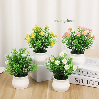 Chậu cây hoa cỏ giả kèm chậu nhựa 20cm mô phỏng hoa cúc họa mi để bàn trang trí nhà ở decor văn phòng nhà tắm bền đẹp