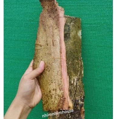 1kg vỏ cây trâm bầu tươi dùng làm dược liệu