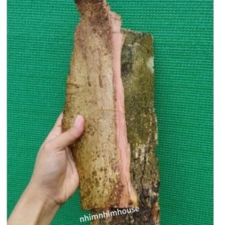 1kg vỏ cây trâm bầu tươi dùng làm dược liệu