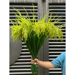 { Giá xưởng } Combo 5-10 cây lúa giả 2 màu xanh và vàng ( cao 70cm)