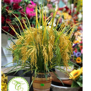 { Giá xưởng } Combo 5-10 cây lúa giả 2 màu xanh và vàng ( cao 70cm)