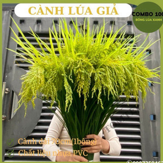 { Giá xưởng } Combo 5-10 cây lúa giả 2 màu xanh và vàng ( cao 70cm)