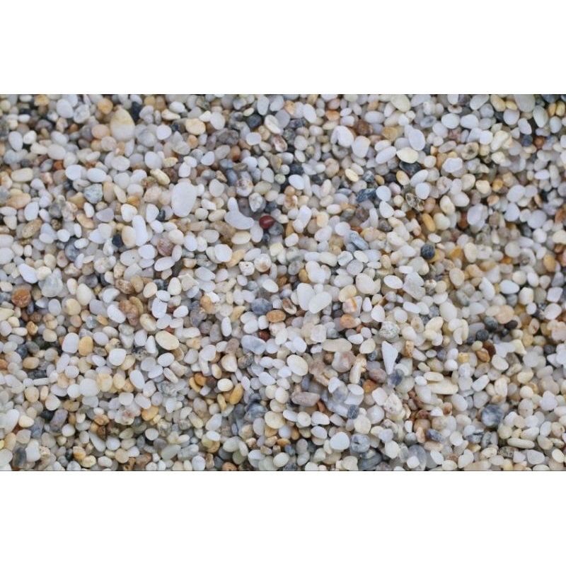 Sỏi trang trí hồ cá thủy sinh