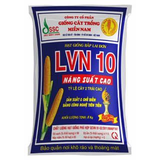  Hạt giống ngô   bắp   lai LVN10 năng suất cao gói 1kg 