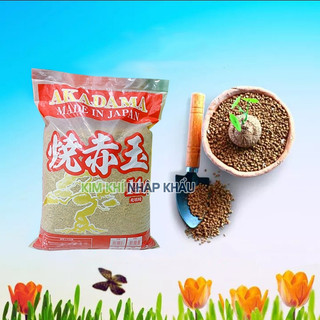 Đất akadama, Đất akadama trồng sen đá size ss - VTN13
