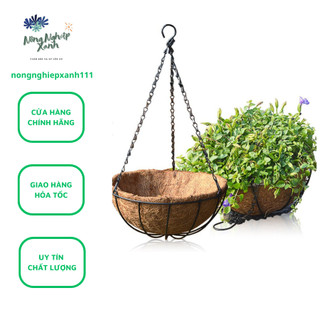  Chậu treo xơ dừa móc sắt kích thước 25cm x 13cm chậu trồng cây xơ dừa 