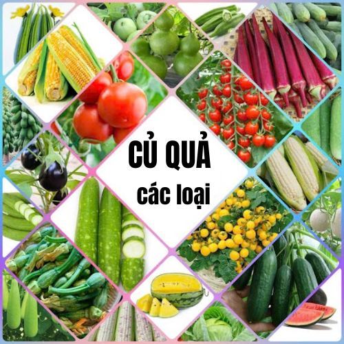 Hạt Giống củ quả các loại củ cải dền bầu bí khổ qua dưa leo đậu bắp