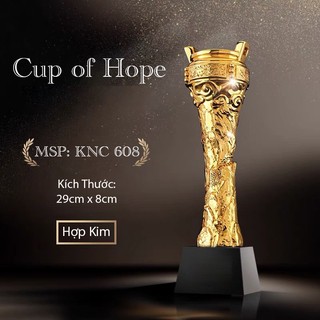 IN ẤN THEO YÊU CẦU Kỷ Niệm Chương 608 Lưu Niệm Cúp Bóng Đá Thể Thao Cup Lưu Niệm Pha Lê Cờ Giá Rẻ Xịn Huy Chương Vàng