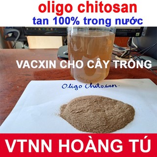 Chế phẩm sinh học chitosan dạng bột - Phân bón chitosan (gói 100gram / 500 gram)
