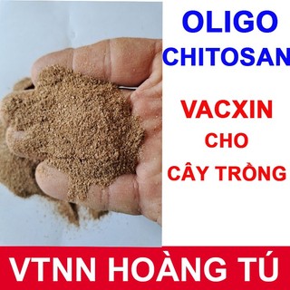 Chế phẩm sinh học chitosan dạng bột - Phân bón chitosan (gói 100gram / 500 gram)
