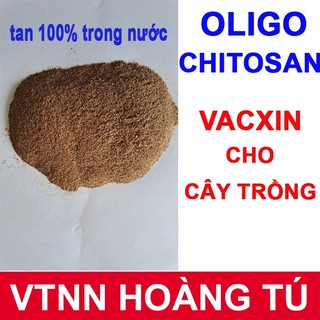 Chế phẩm sinh học chitosan dạng bột - Phân bón chitosan (gói 100gram / 500 gram)