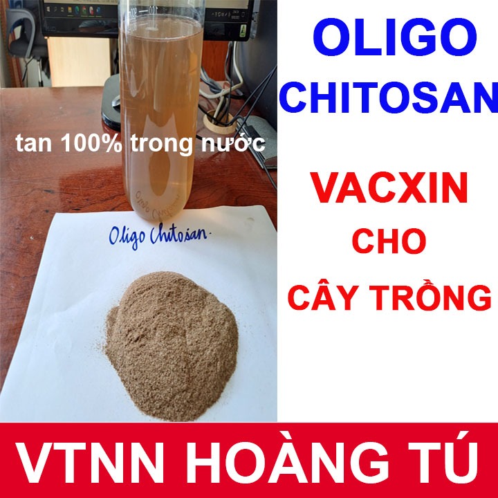 Chế phẩm sinh học chitosan dạng bột - Phân bón chitosan (gói 100gram / 500 gram)