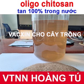 Chế phẩm sinh học chitosan dạng bột - Phân bón chitosan (gói 100gram / 500 gram)