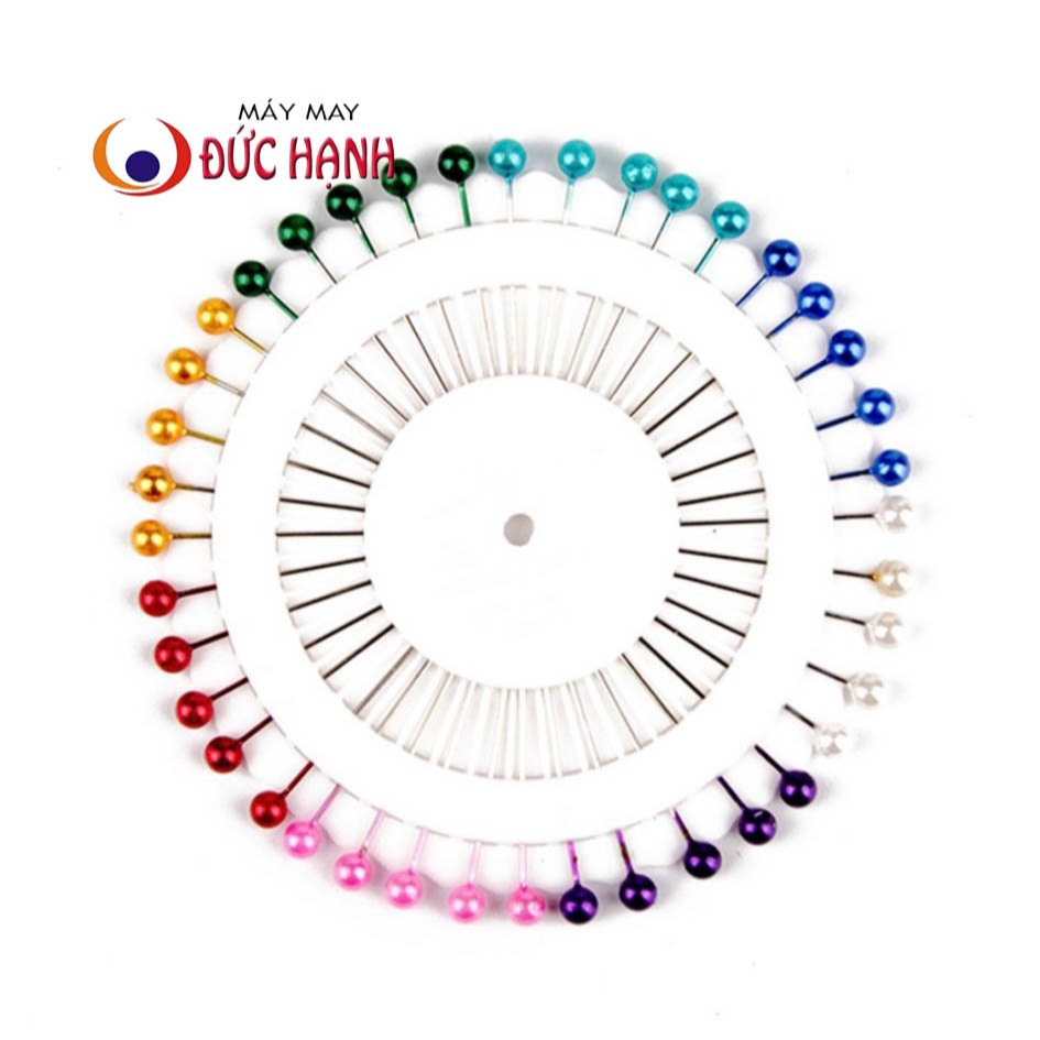 KIM GIM VẢI – KIM CÚC (1 VỈ = 40 CÂY)