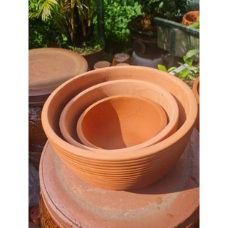 Chậu đất nung - chậu tô sọc chỉ lớn
