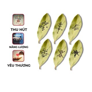 Combo Lá nguyệt quế bay 100g + bột quế + quế cây