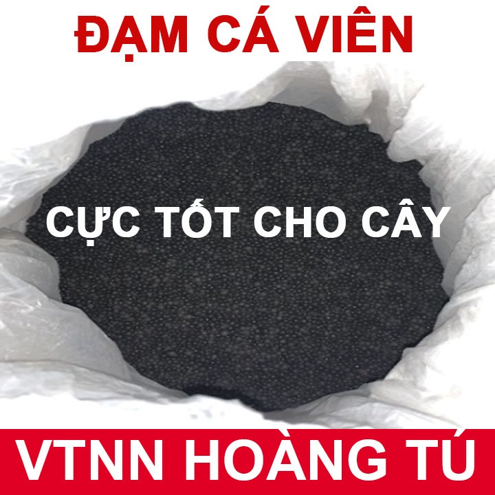 Đạm cá hồi humic amino túi 1kg