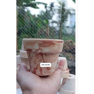 Chậu đất nung - chậu ly gờ miệng 8, cao 7