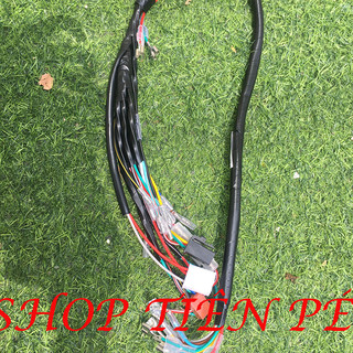 DÂY ĐIỆN SƯỜN 67 XÀI IC