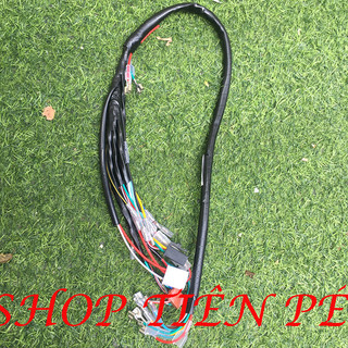 DÂY ĐIỆN SƯỜN 67 XÀI IC