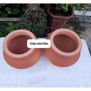 Chậu đất nung - chậu bình cao 19, miệng 16 (miệng trong 12.5)
