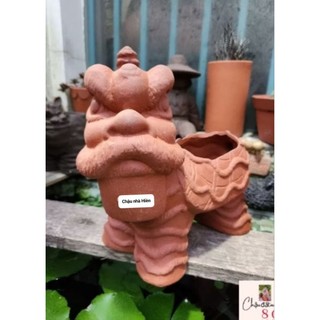Chậu đất nung - Chậu lân + địa