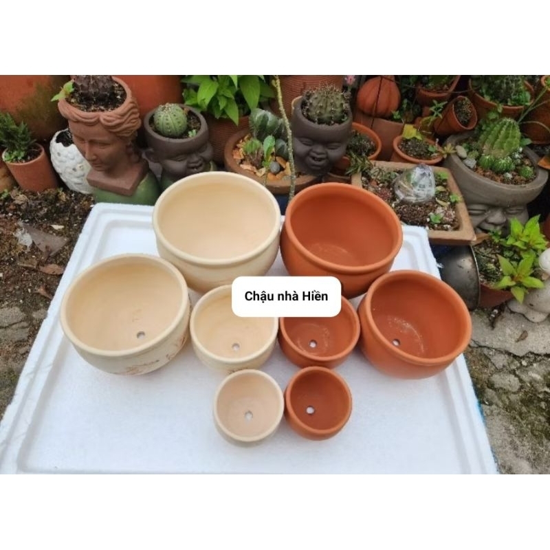 Chậu đất nung - Combo 4 chậu bắp cải