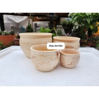 Chậu đất nung - Combo 4 chậu bắp cải