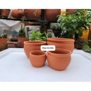 Chậu đất nung - Combo 4 chậu bắp cải