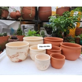 Chậu đất nung - Combo 4 chậu bắp cải