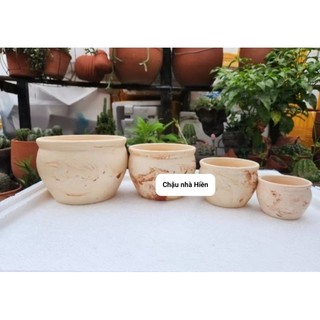 Chậu đất nung - Combo 4 chậu bắp cải