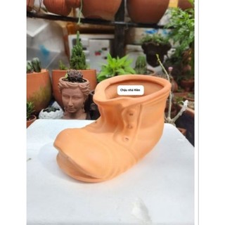 Chậu đất nung - chậu chiếc giày sz đại