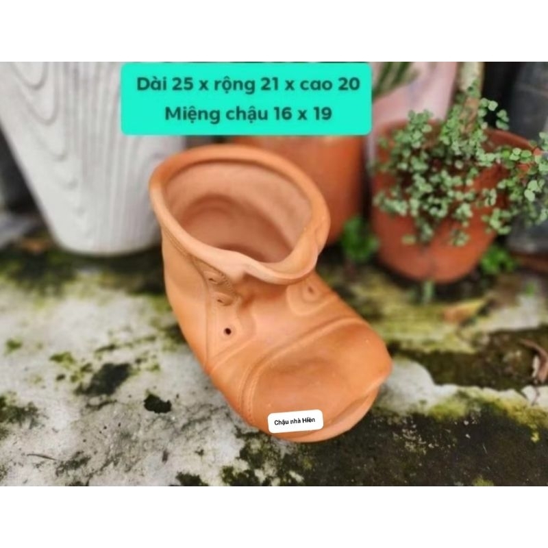 Chậu đất nung - chậu chiếc giày sz đại