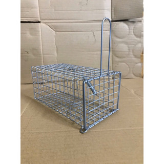 Combo 20 bẫy chuột 10x20 cm chì chống rỉ.