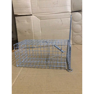 Combo 20 bẫy chuột 10x20 cm chì chống rỉ.