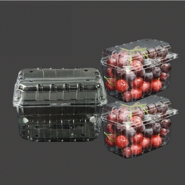 50 Hộp đựng trái cây P1000B (Hộp 1kg)