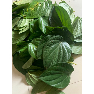 LÁ TRẦU KHÔNG HÀNG TƯƠi ( 500gram-1kg)