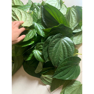 LÁ TRẦU KHÔNG HÀNG TƯƠi ( 500gram-1kg)