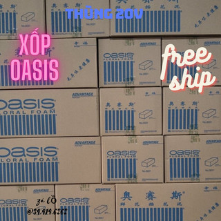 10 viên Xốp Cắm Hoa Oasis