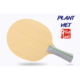 [PlantViet] Cốt vợt bóng bàn 729 C-5 MAX