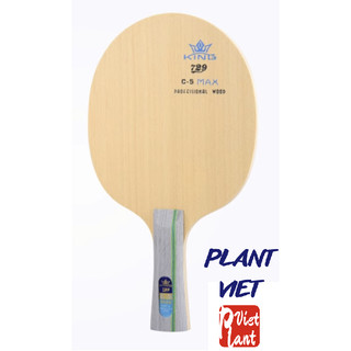 [PlantViet] Cốt vợt bóng bàn 729 C-5 MAX