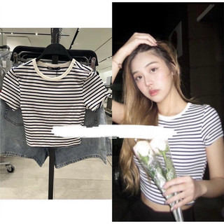 Áo thun croptop Zara Authentic ( 5584/375)