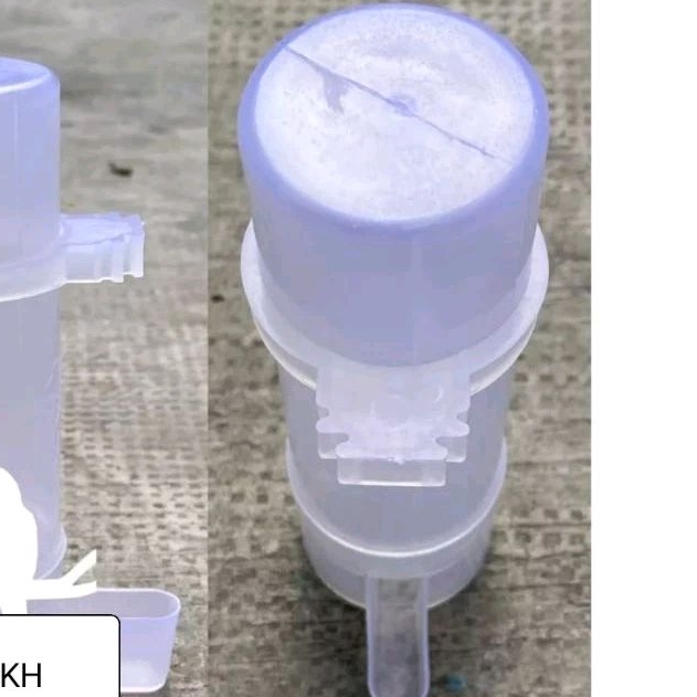 Bộ cóng uống nước chim cảnh