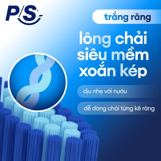 Bộ 2 đầu bàn chải điện P/S (Thay đầu bàn chải mỗi 3 tháng)
