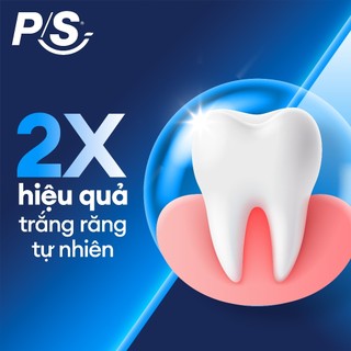 Bộ 2 đầu bàn chải điện P/S (Thay đầu bàn chải mỗi 3 tháng)
