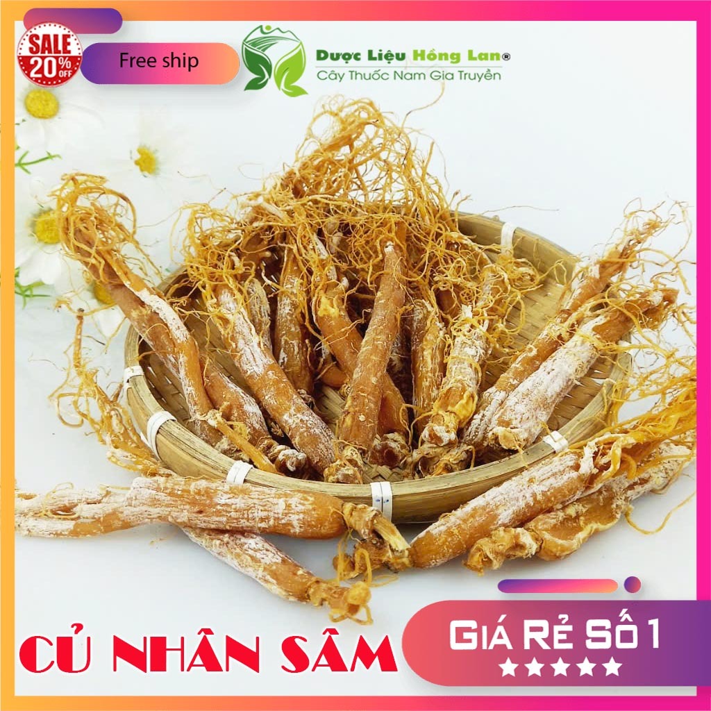 ✅[Thượng hạng] Củ Nhân Sâm (Hồng Sâm) Hàn Quốc khô loại 1